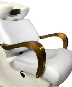 Salon Chair Backwash