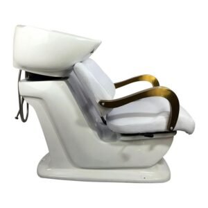 Salon Chair Backwash