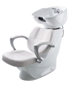 Salon Chair Backwash