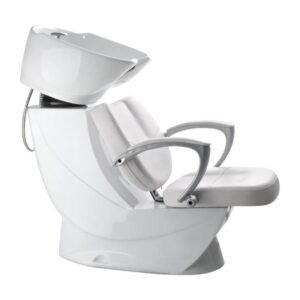 Salon Chair Backwash