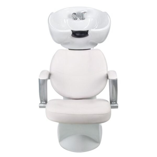 Salon Chair Backwash